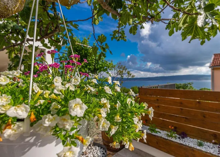 In 41381 Апартаменты